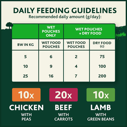 WINALOT Meaty Chunks Adult Wet Dog Food Mixed in Jelly Beef, Chicken, Lamb 40x100g Pouches