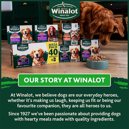WINALOT Meaty Chunks Adult Wet Dog Food Mixed in Gravy Beef, Chicken, Lamb 80x100g Pouches